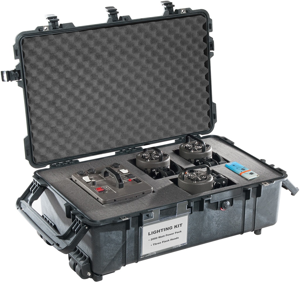 PELI-iM2950 Valise de Voyage Storm